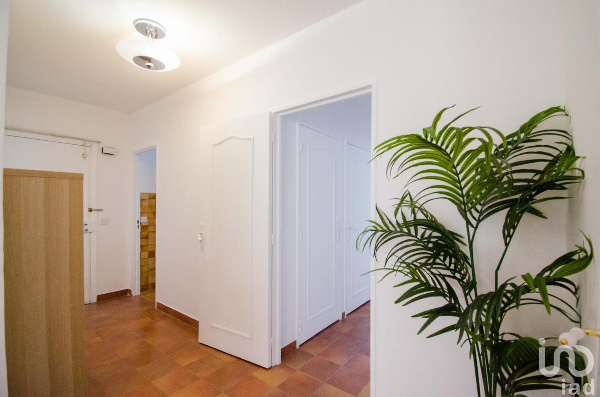 Magnifique Appartement Proche Des Plages Plus Garage Prive Antibes Eksteriør billede