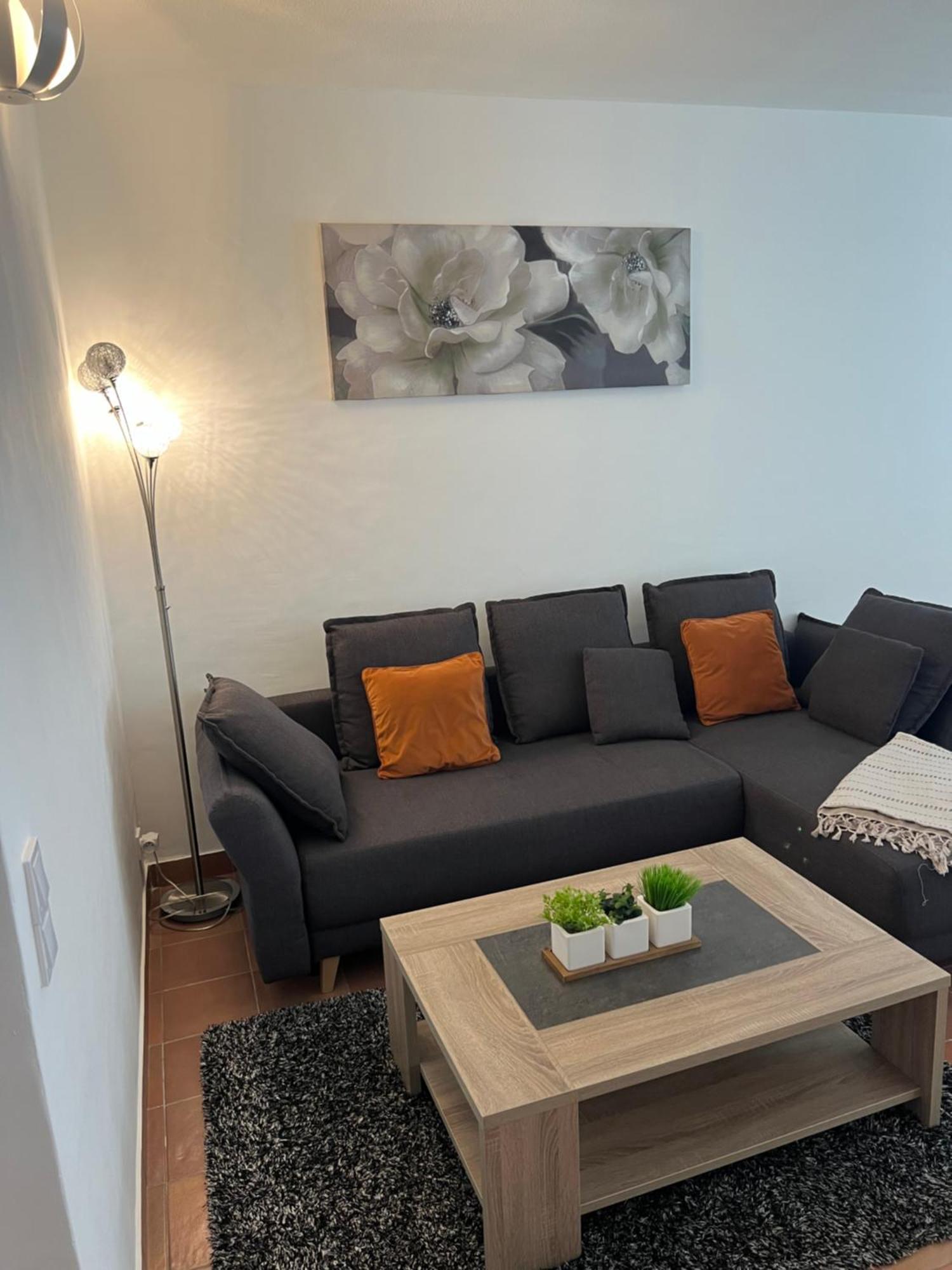 Magnifique Appartement Proche Des Plages Plus Garage Prive Antibes Eksteriør billede